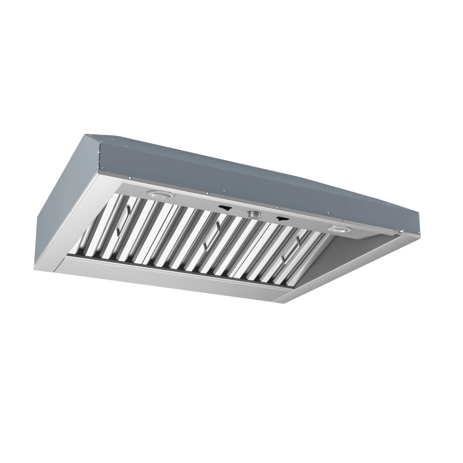 48-INCH OUTDOOR RANGE HOOD INSERT,